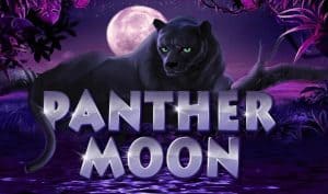 Panther Moon: Petualangan Mistik di Dunia Malam